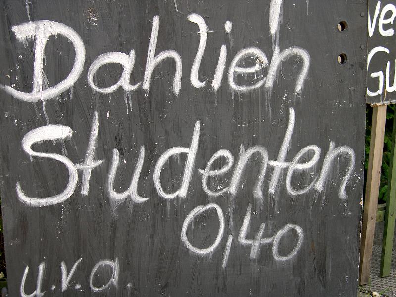 Dresden-Pieschen, 18.5.2008.JPG